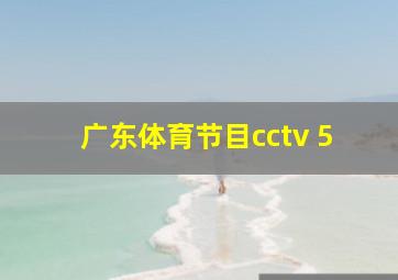 广东体育节目cctv 5